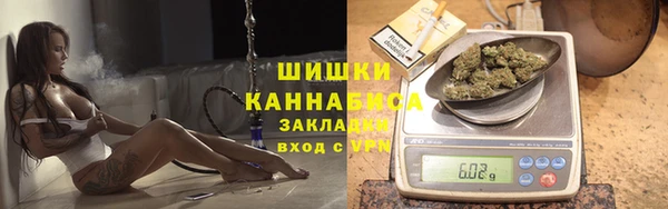 шишки Алексин