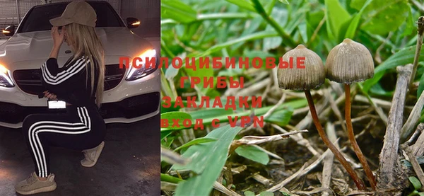 шишки Алексин