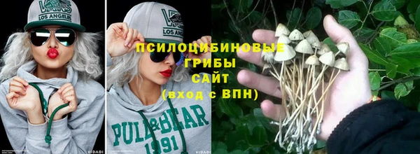 шишки Алексин