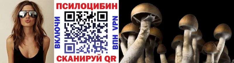 где продают   Волгоград  Псилоцибиновые грибы прущие грибы 